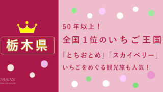 【いちご王国・栃木】の「いちご狩り」おすすめランキング・予約方法【ポイントも貯まる！】
