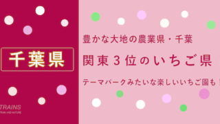 【千葉県】「いちご狩り」おすすめランキング・予約方法【100ヶ所のいちご農園】