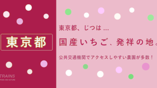 【東京】「いちご狩り」おすすめランキング・予約方法【アクセスしやすい場所多数】