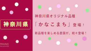 【神奈川県】「いちご狩り」おすすめランキング・予約方法【県オリジナルいちごも！】