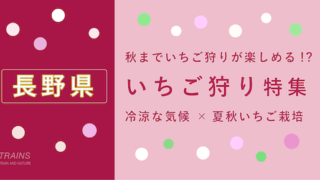 【長野県】「いちご狩り」おすすめランキング・予約方法【秋までいちごが楽しめる!】