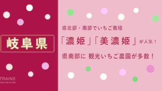 【岐阜県】「いちご狩り」おすすめランキング・予約方法【人気農園多数】【ポイントも貯まる】
