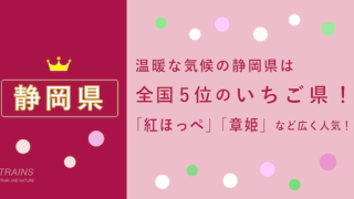 【静岡県】「いちご狩り」おすすめランキング・予約方法【温和な気候で人気】【ポイントも貯まる】