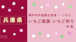 【兵庫県】「いちご狩り」おすすめランキング・予約方法【温暖な気候】【ポイントも貯まる】