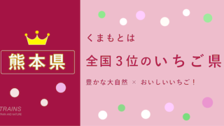 【熊本県】「いちご狩り」おすすめランキング・予約方法【ポイントも貯まる】