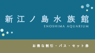 【5%割引あり】「新江ノ島水族館」の割引・年間パス11選！【えのすいの見どころ】