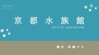 京都水族館 年間パスポート 3枚 2024.3.31 当日発送可】京都水族館 年間パスポート 2枚 - メルカリ