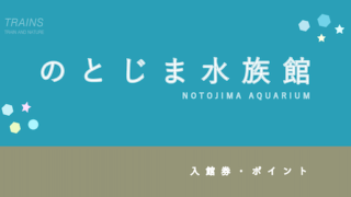 【割引あり】「のとじま水族館」の割引・ポイント3選！【能登の人気水族館】