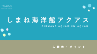 【割引・ポイント】「しまね海洋館アクアス」のおトクな入館券・年間パスポート3選！【人気水族館】