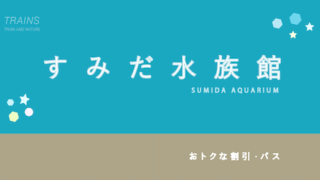 【セットで500円お得な場合も！】「すみだ水族館」の割引・セット券・年間パス5選【水族館の感想】