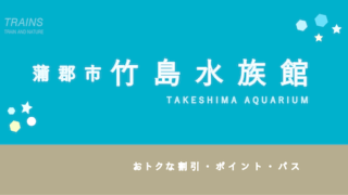 【700円お得あり】蒲郡「竹島水族館」の割引・ポイント・年間パス3選!【人気の水族館】