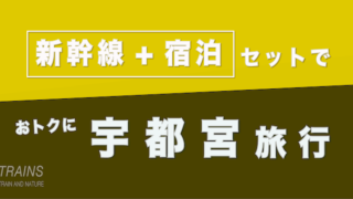 【東京発:1万円台-】週末サクッと「宇都宮旅行」！【主要旅行会社プラン】