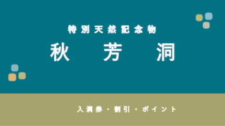 【割引プランあり】鍾乳洞「秋芳洞」の割引・ポイント6選!【ポイントが貯まるプランあり】