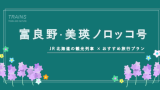 【関東発：7万円台〜】ラベンダーの大自然へ！「富良野・美瑛ノロッコ号」の旅行プラン特集【主要旅行会社おすすめ】